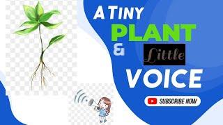 A tiny Plant and Little voice....| By Anoop Sharma | Morning Motivation