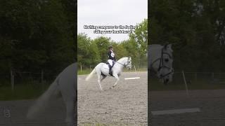 My whole heart  #equestrian