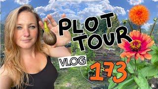 Plot Tour - The Allotment Garden in July || Plot 37