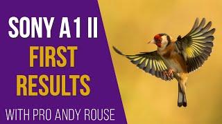 Andy Rouse first images from Sony A1 MKII pro capture speed boost new AI AF subject detect