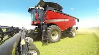 VERSATILE RT490 from Rostselmash in the USA - part 1 (Oklahoma)