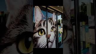 Giant Cat Illusion Creative Storefront Cat Decoration 