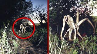 Disturbing Trail Cam Footage That Shocked the Whole World