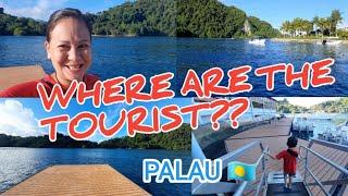 HOW IT LOOKS LIKE AT MDOCK KOROR REPUBLIC OF PALAU  #micronesia #oceana #palau #islandlife