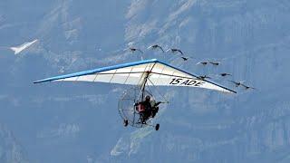 Christian Moullec flying with the Birds Zigermeet 2019 Mollis AirShow