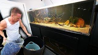 Large DIY aquarium filter for $50 | The King of DIY