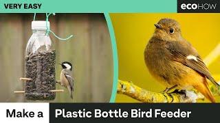 How to make a Bird Feeder from a Plastic Bottle