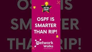 Simple & Interesting Fact About OSPF You Should Know!