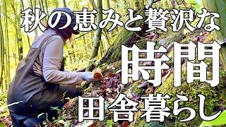 【きのこ】田舎暮らしの秋の味覚  いただき物できのこづくしの贅沢な日々  保護猫の成長  自然豊かな山奥暮らしの日々｜村暮らし｜移住｜料理【標高800mの田舎暮らし】