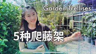 【Garden】5 Kinds of garden trellises, easy to build 2022年搭的5种爬藤架（蔬菜架子、瓜架、豆角架）