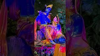 Jai radha madhab Jai Kunj Vihari #live #love #krishnabhajan #radha #radheradhe #radhakrishna #kanha