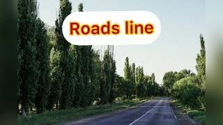 Road line rules/in Tamil