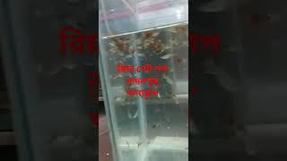#riya pet shop #birds #nature #aquarium #accessories #fish #lover #pet #best seller #love