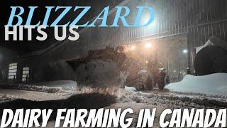 Dairy Gets Hit By Gnarly Blizzard!