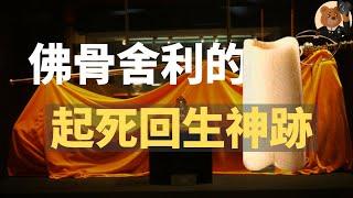 法门寺佛骨之谜：从治病圣物到权力工具，武则天供奉佛骨舍利的真实原因