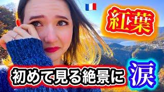 【これが今年最後の国内旅行動画です】フランス人が帰国前に紅葉を見れて大感動！in栃木