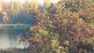 Naucz mnie Panie. /Vivaldi, Concerto for 4 Violins in B minor, Op. 3, No. 10, RV 580: II. Largo /