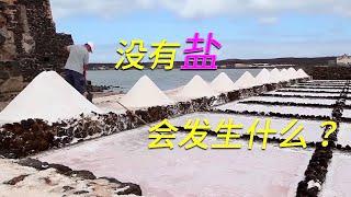 What would happen if there was no salt in the world? [Hi Popular Science]