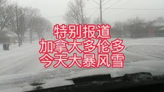 号外:特别报道一加拿大大多伦多地区今天特大暴风雪