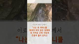 [핫클립]예수님과 성모님께서 주신 기적의 샘물!