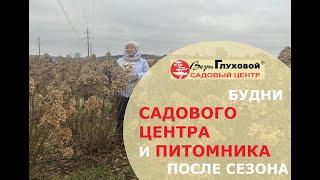 Укрыть и сохранить растения для нового сезона