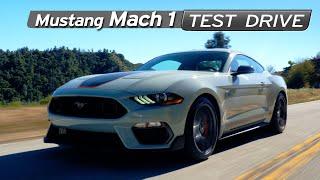 Mustang Mach 1 Review - Special Edition Enough? - Test Drive | Everyday Driver