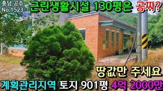 No.1523. 충남공주 토지 901평에 근린생활시설 2동 130평 (철근콘크리트 63평+철골조 67평) 매매가 4억 2000만원( 땅값 수준) 전원주택 농가주택  최우선부동산TV