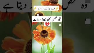 A1 sad status || Best Urdu Poetry WhatsApp Status || Urdu Shayari Status |