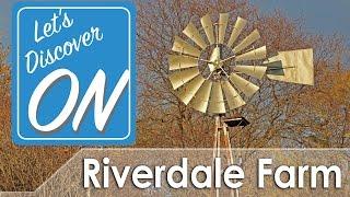 RIVERDALE FARM in TORONTO - Let's Discover ON