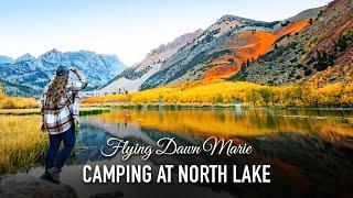 274: North Lake Camping Adventure - Eastern Sierra Fall Colors (Inyo National Forest / Bishop, CA)