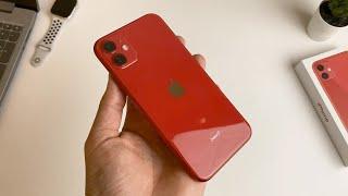 iPhone 11 Nova Recenzija u 2023: Utisci posle 4 godine!