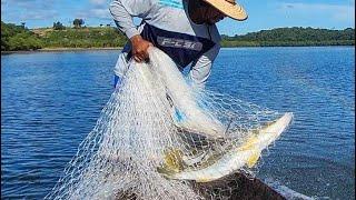 O TEMIDO ROBALO CAPTURADO NA TARRAFA N.140mm ! pes. do robalo na tarrafa grossa.