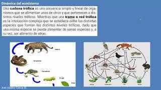 8  Los seres vivos y su ambiente