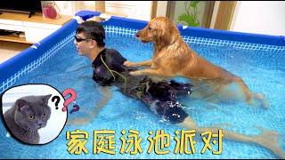 The owner installed a giant swimming pool at home. The Golden Retriever is broken