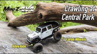 Kyosho Mini-Z 4x4 MX-01: Fun at New York City Central Park