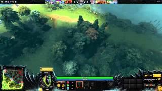 Reverse Camera Grip is Broken in Dota 2