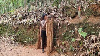 Complete construction of underground shelter, wild forest beauty