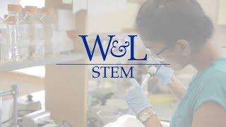 W&L: STEM