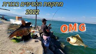 מתקפת הכסיפים בכנרת 2022  פייט חלום עם המפלצות הענקיות ביותר בכנרת .
