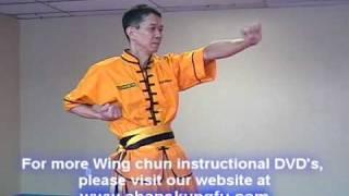 Wing Chun Sil Lim Tao