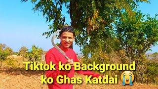 टिकटकको BACKGROUNDमा देखिने रुख काट्दै _ Sundar Ghalan _ Vlog Video