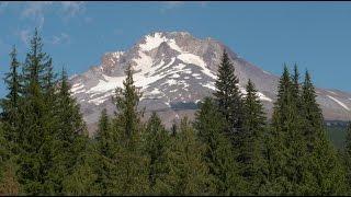 Grant's Getaways:  Mt.  Hood History and Huckleberries
