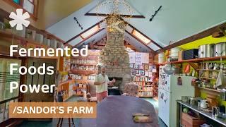 Built off-grid homestead. Then became Fermented Foods' go-to expert