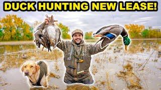 3 MAN LIMIT Duck Hunting at My NEW LEASE on OPENING DAY!!! (Catch Clean Cook)