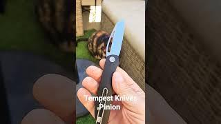 #newknife  - Tempest Knives Pinion #youtubeshorts