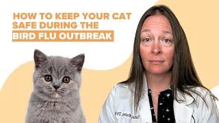 Bird Flu Outbreak in Cats Explained