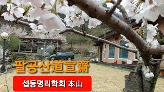 백산사주TV 이건희 박사의 명리학 이야기: 상담‧교육 : 백산명리 010-2803-4984 중화용신 조후용신 섭동명리학