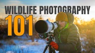 Learn WILDLIFE PHOTOGRAPHY. 5 Tips To INSTANTLY Improve!