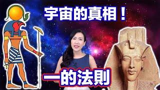 外星人與我們都是一家人！？ | 馬臉姐