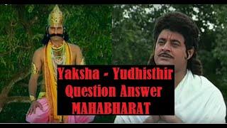 Yaksha - Yudhishthir QnA conversation in Mahabharat